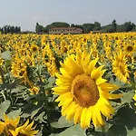 펜션 Podere Magnolia 피사